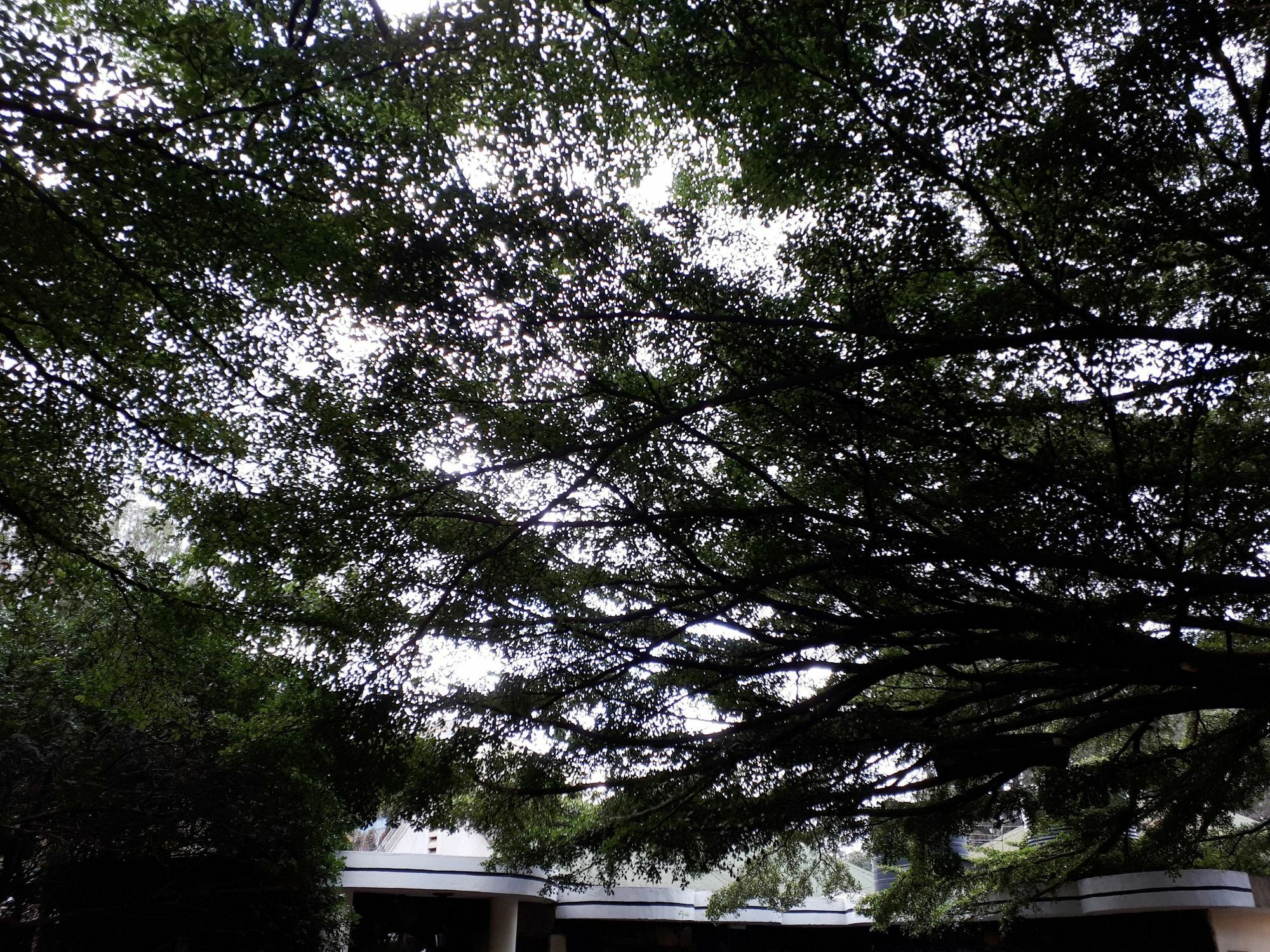 Bermuda Garden Hotel Nairobi Buitenkant foto