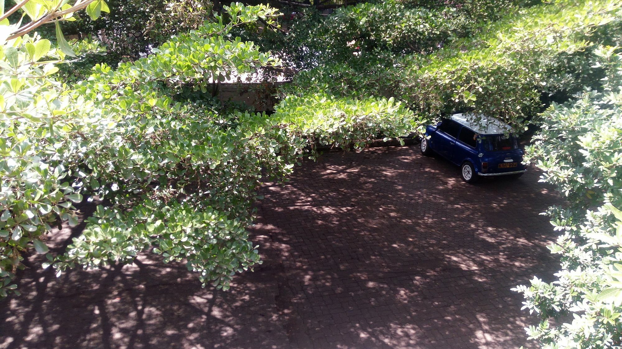 Bermuda Garden Hotel Nairobi Buitenkant foto